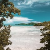 aerial photography of white sand beach during daytime